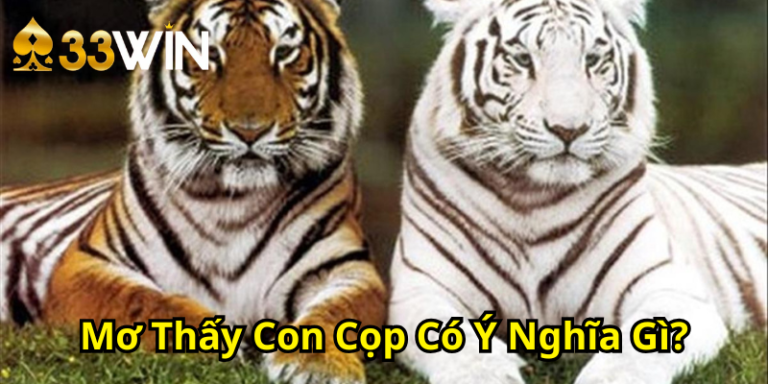 Mơ Thấy Con Cọp Có Ý Nghĩa Gì? Luận Giải Điềm Báo & Con Số | 33WIN