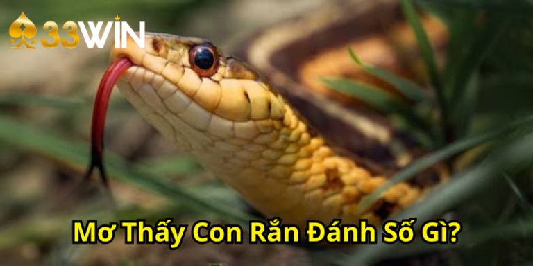 Mơ Thấy Con Rắn Đánh Số Gì? Giải Mã Giấc Mơ Rắn 33WIN 2026