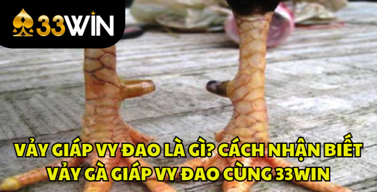 Vảy Giáp Vy Đao Là Gì? Cách Nhận Biết Vảy Gà Giáp Vy Đao | 33WIN